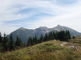 P8157267a.jpg